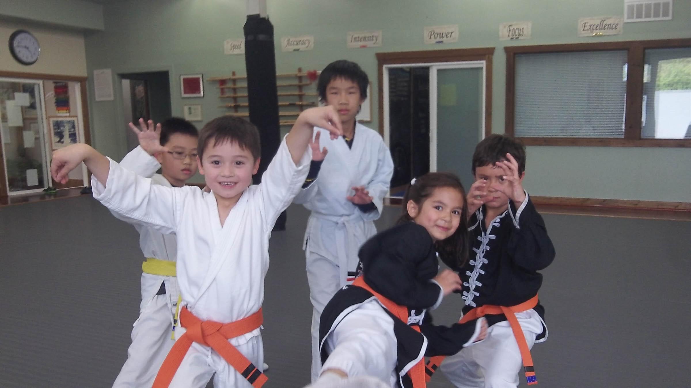 Bellevue Martial Arts School